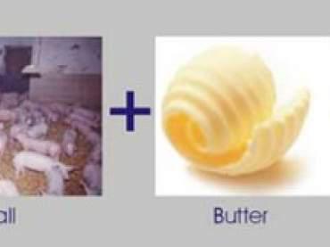 Robert+Saustall+Butter= Fette Freunde